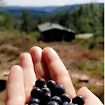 Cozy With A Wonderful View - Hiking Trails - Silence *