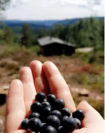 Cozy With A Wonderful View - Hiking Trails - Silence *