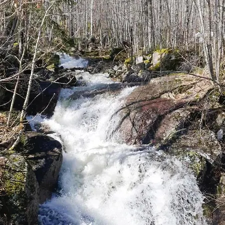 Cozy With A Wonderful View - Hiking Trails - Silence