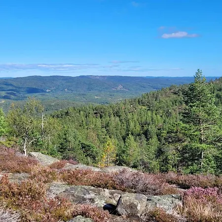 Cozy With A Wonderful View - Hiking Trails - Silence Feriehus