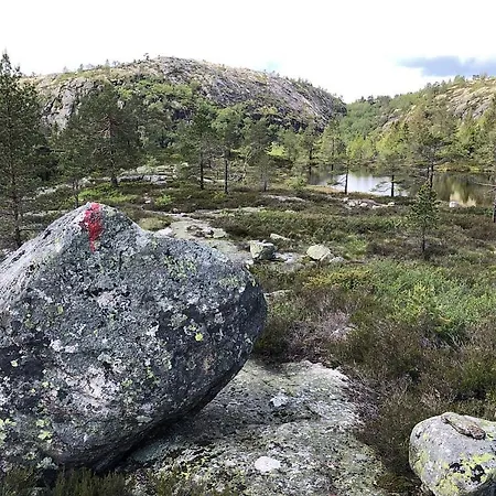 Feriehus Secluded Forest Cabin With Panoramic Views - Hiking And Nature Mjåvatn
