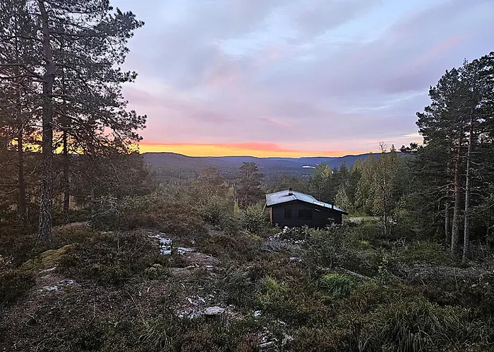 Feriehus Secluded Forest Cabin With Panoramic Views - Hiking And Nature