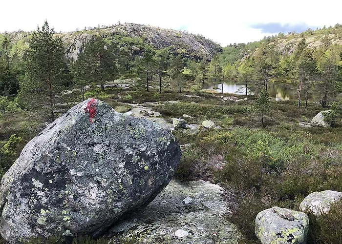 Feriehus Secluded Forest Cabin With Panoramic Views - Hiking And Nature Mjåvatn